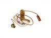Expansion Valve:3522 250